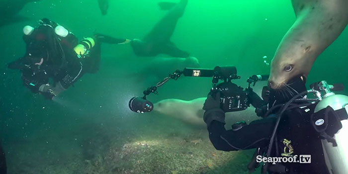 50 Of The Most Bizarre Pics That Got Posted On This No Context Instagram Page