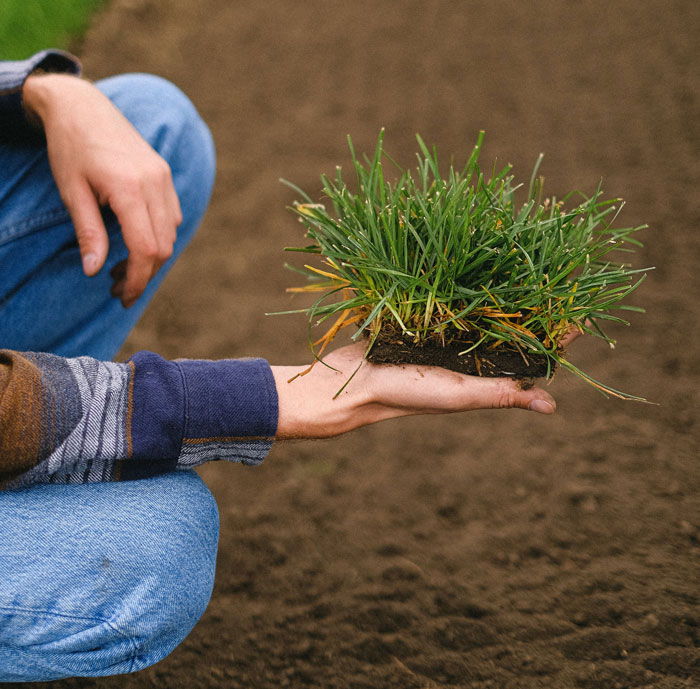 A gardener with a piece of a grass with soil in their hand