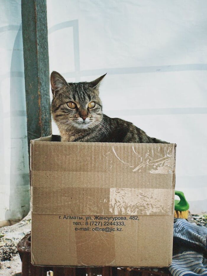 50 Potluck Experiences That Traumatized These People