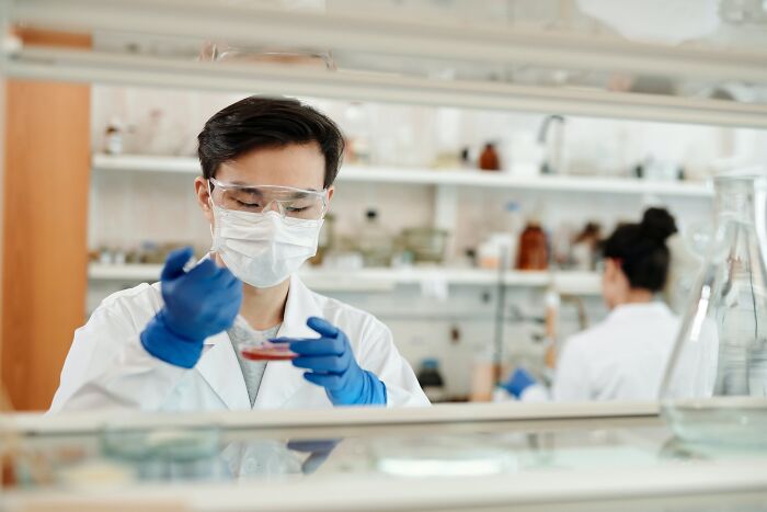 Scientist wearing protective gear working with petri dish in a lab, symbolizing hopeful scientific progress online.
