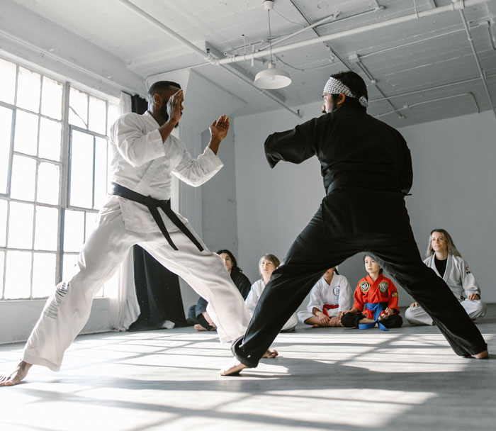 We Will Be Punching The Air