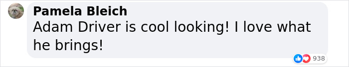 &ldquo;I Look How I Look&rdquo;: Adam Driver Applauded For Response To Harsh Question About His Appearance