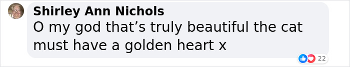 After Vet Rescued Rico As A Kitten, He&rsquo;s Been Paying It Back By Taking Care Of Patients