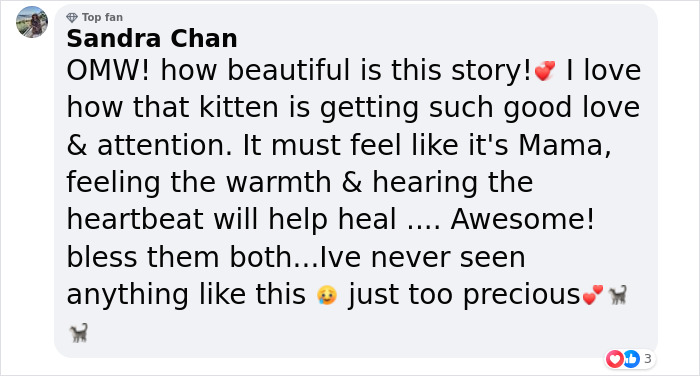 After Vet Rescued Rico As A Kitten, He&rsquo;s Been Paying It Back By Taking Care Of Patients