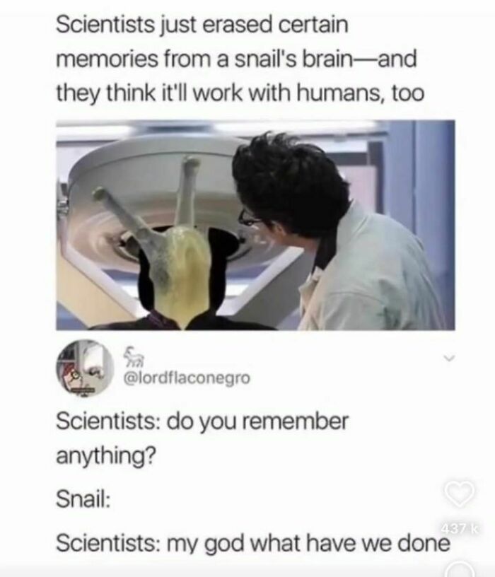 Blockchain-Memes-For-Decentralized-Teens