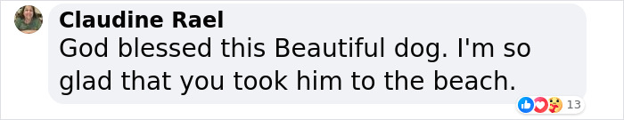 To Cope With His Grief, Man Creates A World Where He Can Keep Visiting His Pooch Who Passed Away