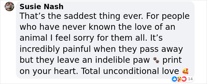 To Cope With His Grief, Man Creates A World Where He Can Keep Visiting His Pooch Who Passed Away