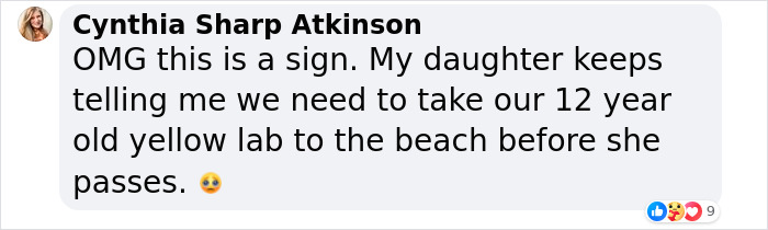 To Cope With His Grief, Man Creates A World Where He Can Keep Visiting His Pooch Who Passed Away