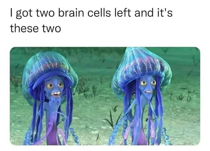 Blockchain-Memes-For-Decentralized-Teens