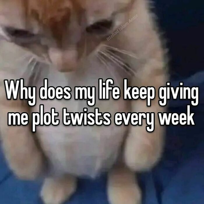 Blockchain-Memes-For-Decentralized-Teens