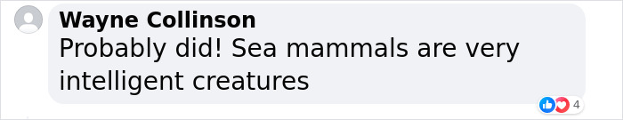 &ldquo;We&rsquo;ve Been Heard&rdquo;: Scientists Communicate With A Whale For 20 Minutes In Her Own Language