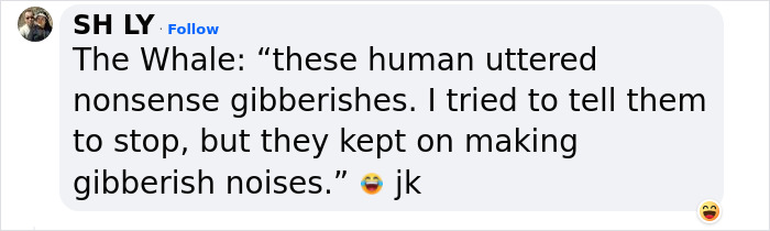 &ldquo;We&rsquo;ve Been Heard&rdquo;: Scientists Communicate With A Whale For 20 Minutes In Her Own Language