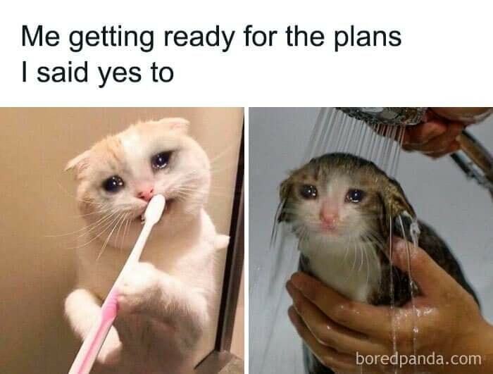 Blockchain-Memes-For-Decentralized-Teens