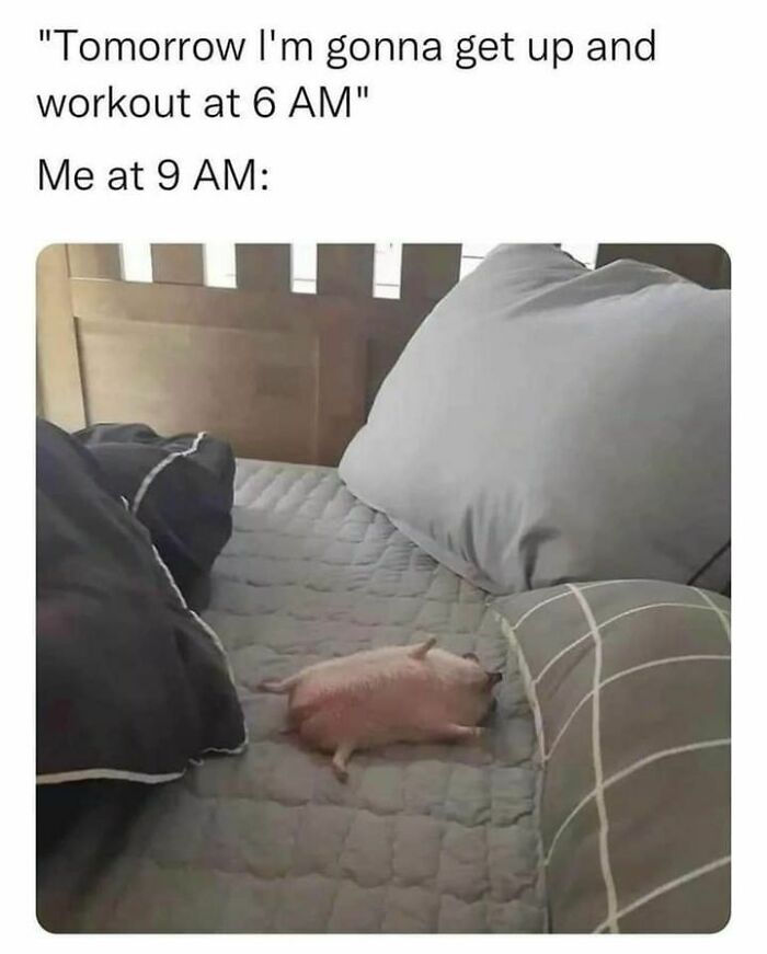 Blockchain-Memes-For-Decentralized-Teens