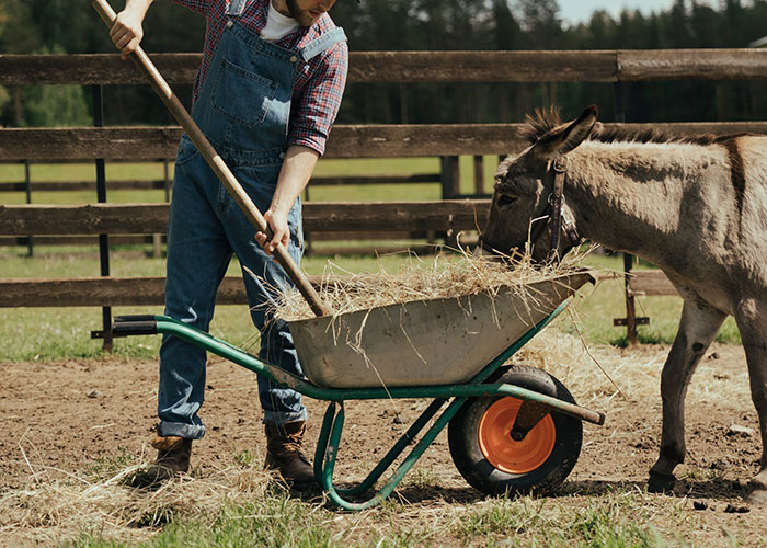 "Reuse Things": 30 Things Poor Countries Do So Much Better Than Rich Ones