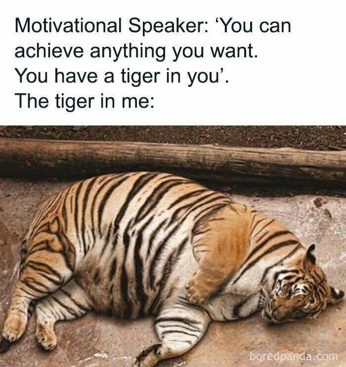 Pregnancy-Memes-Jokes