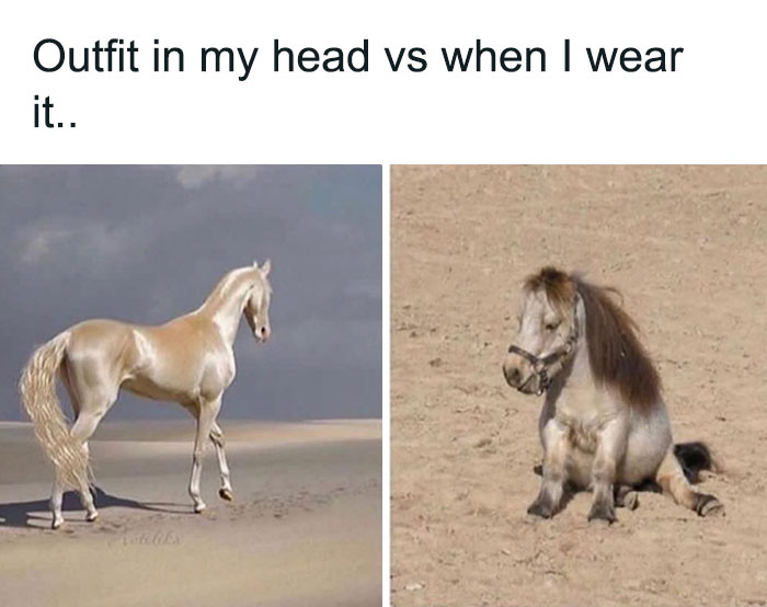 Pregnancy-Memes-Jokes