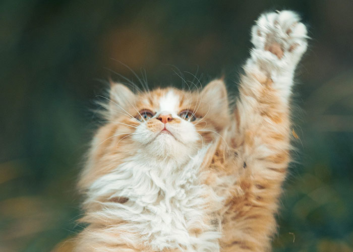 30 People Share Quirky Facts They Think Everyone Should Be Aware Of