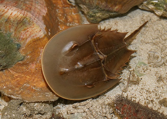 30 People Share Quirky Facts They Think Everyone Should Be Aware Of