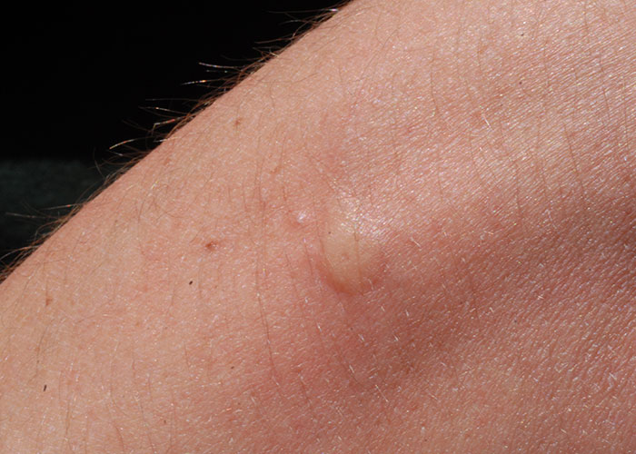 30 People Share Quirky Facts They Think Everyone Should Be Aware Of