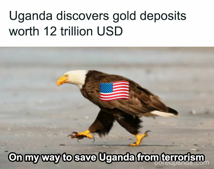 Bald eagle with American flag, captioned humorously about Uganda's gold discovery, reflecting sarcastic meme theme.