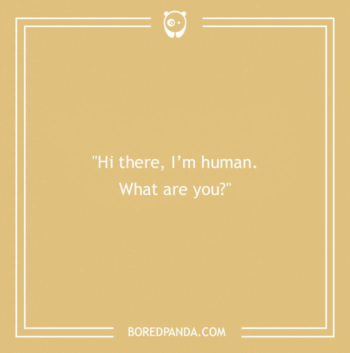 Clever Sarcastic Jokes To Read When You Are In A Snarky Mood