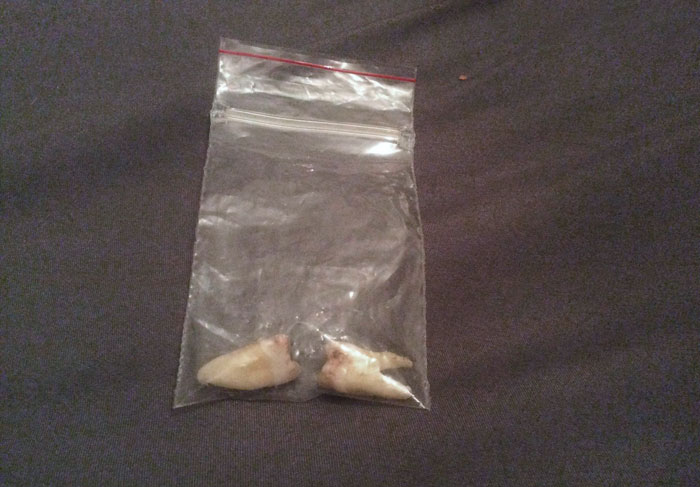 Found These In My New House