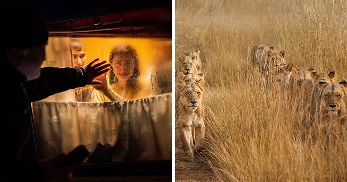 Here Are The Best 30 Pics Of 2023, As Shared By Siena International Photo Awards