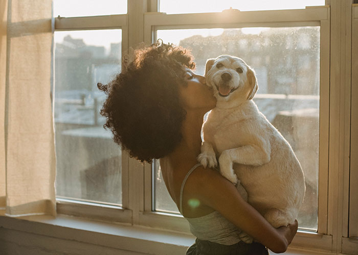 “I Adopted My Dog, Not Her”: Woman Splits Family And The Internet With Her Clapback To SIL “I Adopted My Dog, Not Her”: Woman Splits Family And The Internet With Her Clapback To SIL
