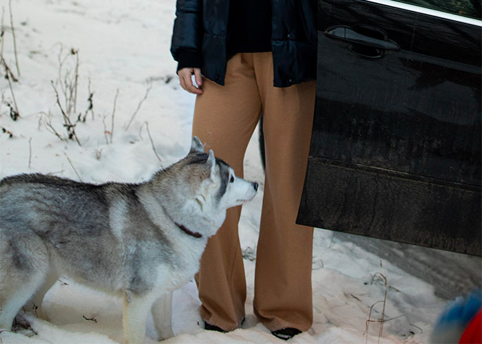 “I Adopted My Dog, Not Her”: Woman Splits Family And The Internet With Her Clapback To SIL “I Adopted My Dog, Not Her”: Woman Splits Family And The Internet With Her Clapback To SIL