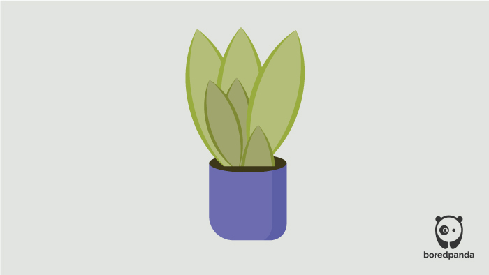 Illustrated Moonshine Illustrated Moonshine