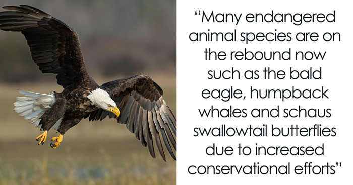 Our World Isn’t A Total Nightmare And These 39 Things Prove That, As Shared Online