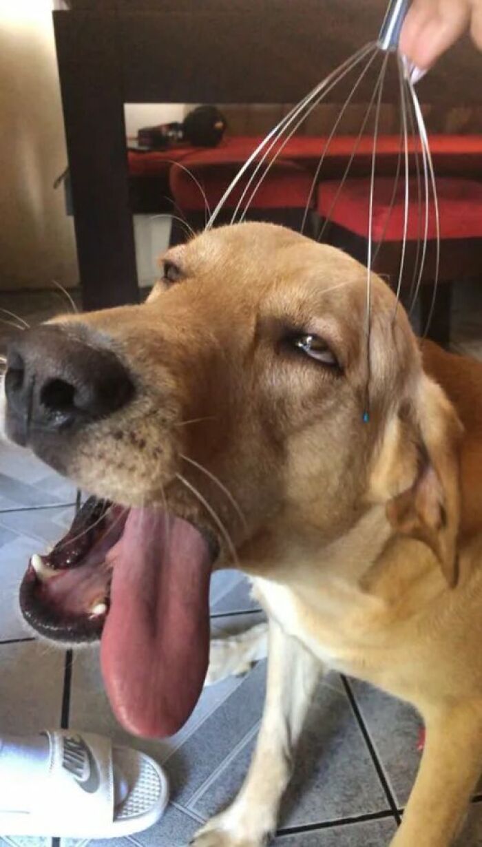 Strange-Weird-Cursed-Images