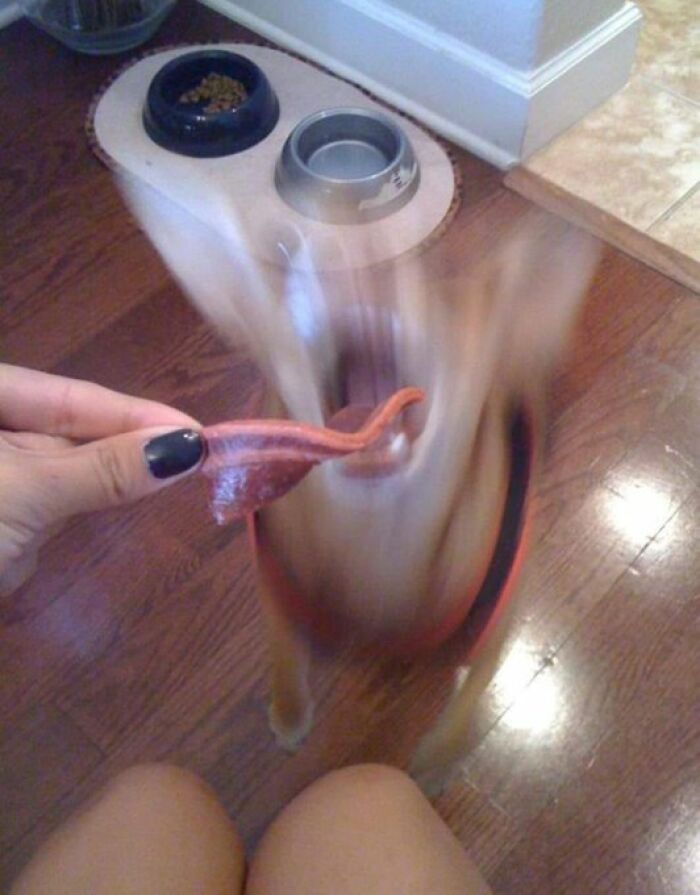 Strange-Weird-Cursed-Images