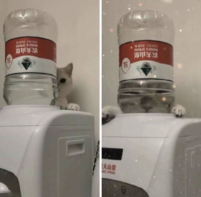 Strange-Weird-Cursed-Images