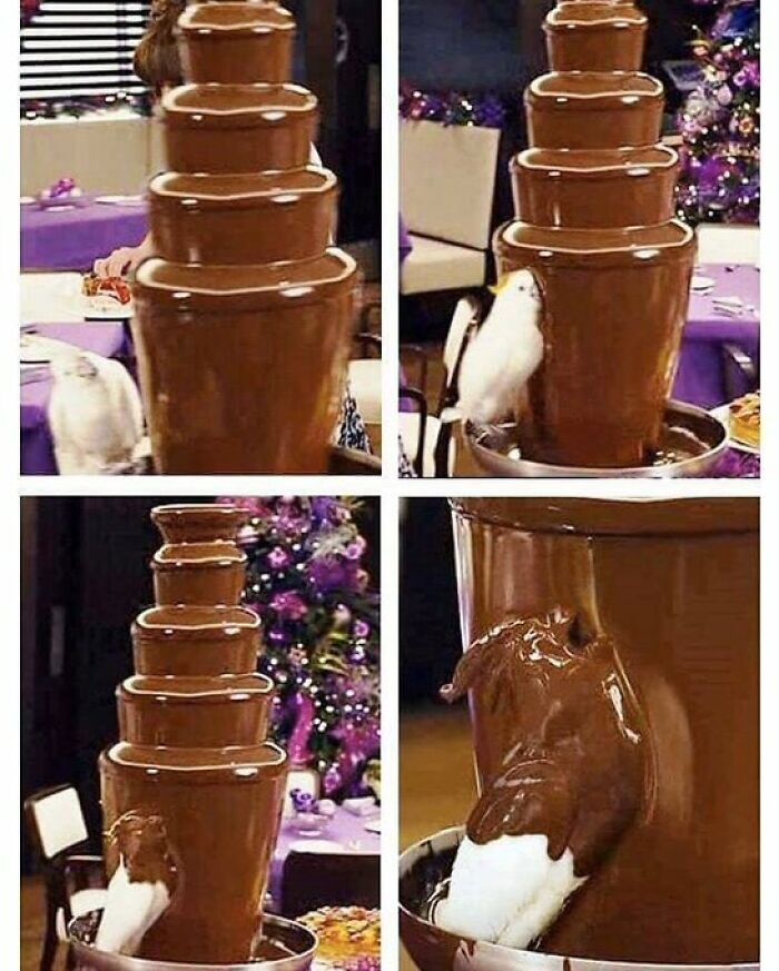 Strange-Weird-Cursed-Images