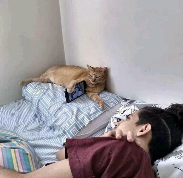 Strange-Weird-Cursed-Images