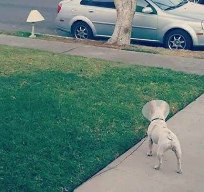 Strange-Weird-Cursed-Images