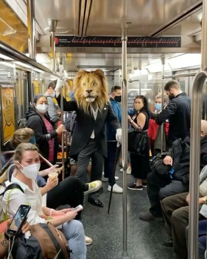 Subway-Creatures-Funny-Pics