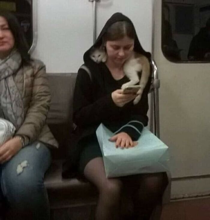 Subway-Creatures-Funny-Pics