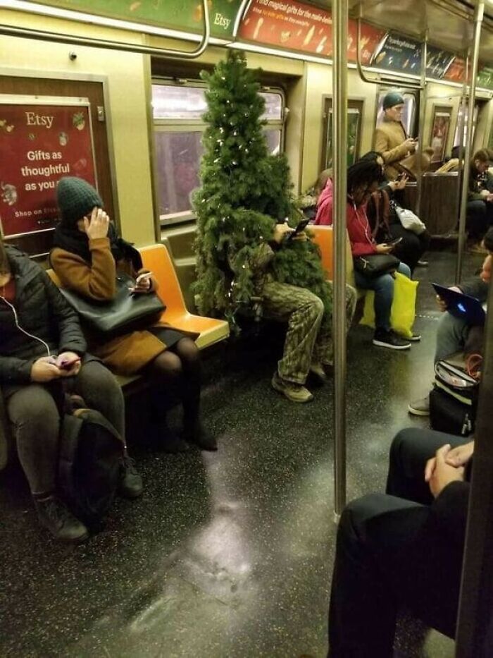 Subway-Creatures-Funny-Pics