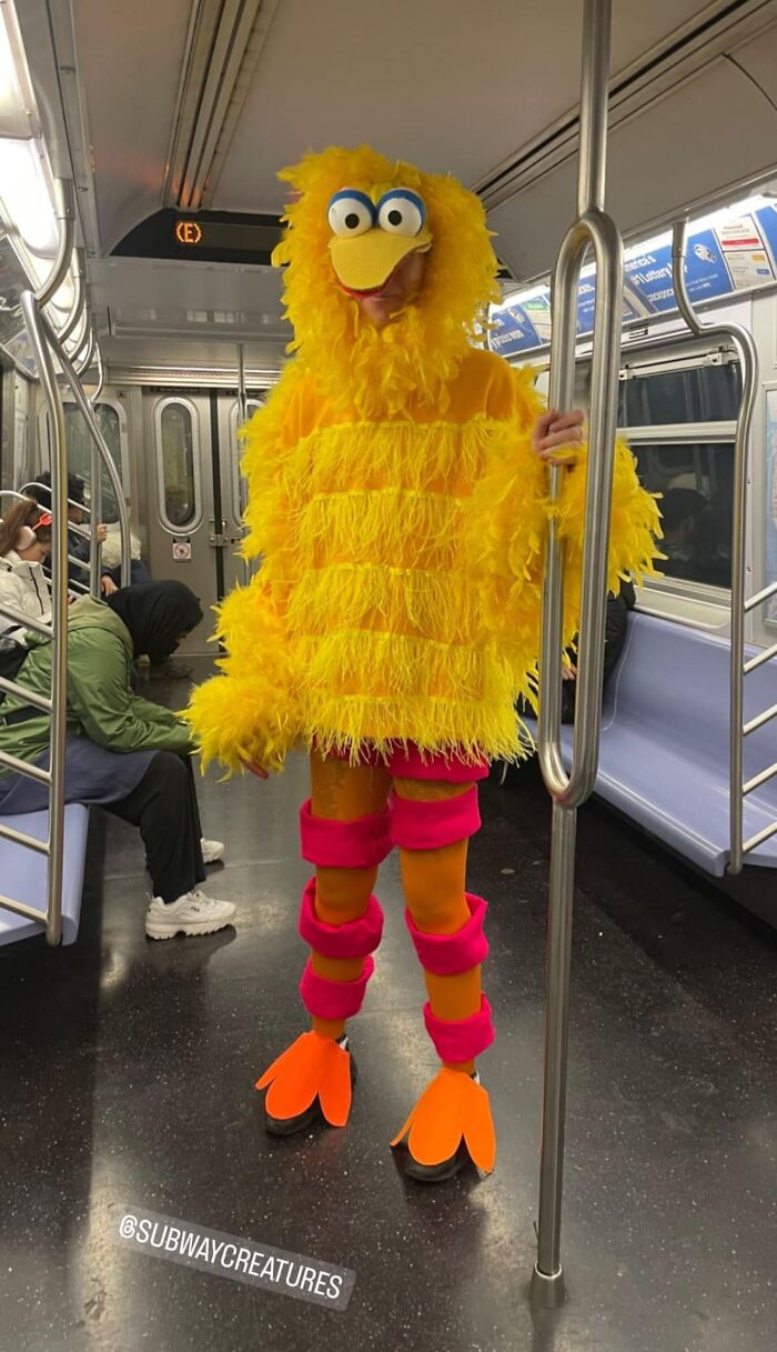 Subway-Creatures-Funny-Pics