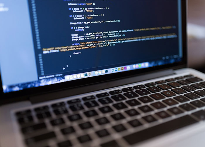 Manager Demands To Speak With The Owner Of The Laptop IT Guy Is Working On, The CEO Answers