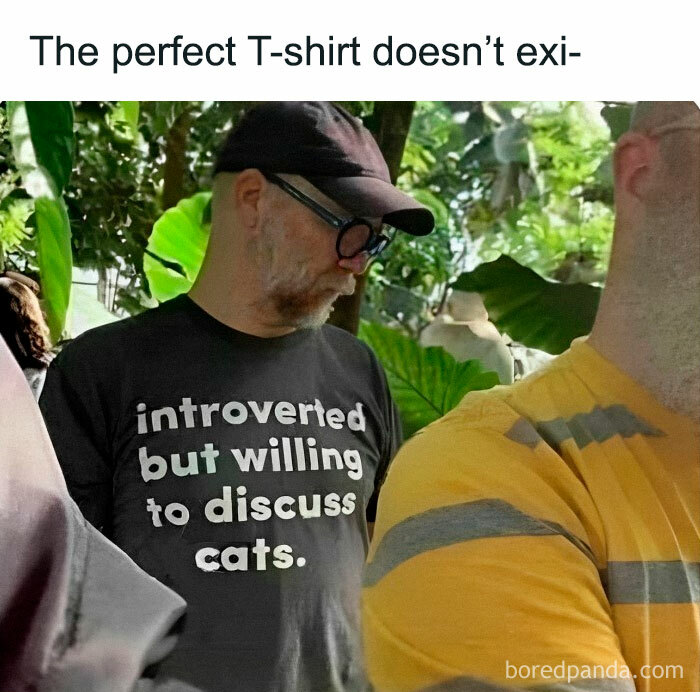 The-Odd-Cat-Sanctuary-Memes