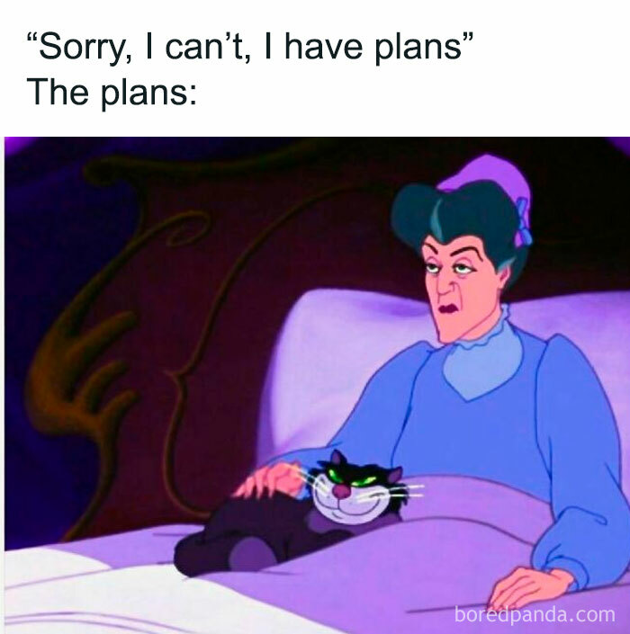 The-Odd-Cat-Sanctuary-Memes