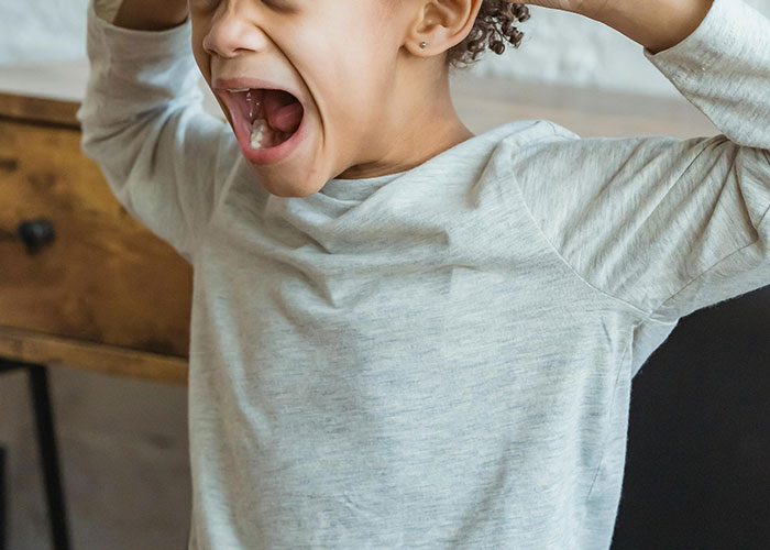 "People With Enormously Obese Pets": 35 Things People Can't Help But Judge Others For