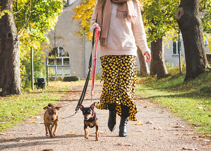 "People With Enormously Obese Pets": 35 Things People Can't Help But Judge Others For