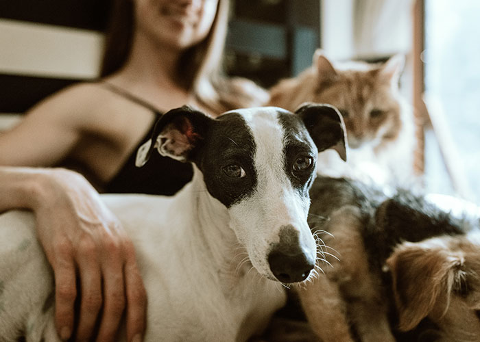 35 People Share What Big And Small Changes Drastically Improved Their Mental Health