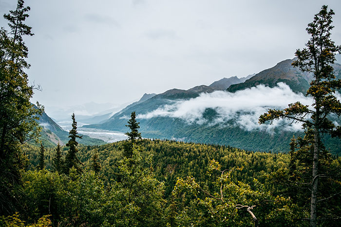 A scenic mountain landscape with lush green forests and misty clouds, showcasing nature's beauty in places not often taught in school.
