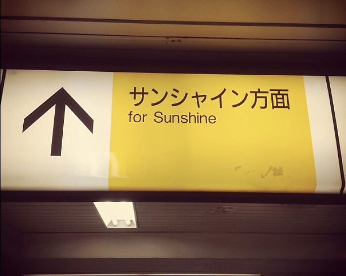 -What's Up? -Sunshine!